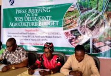 BCG, SWOFON Charges Delta Govt to Increase Funding in Agriculture to Address Rising Food Insecurity