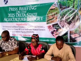 BCG, SWOFON Charges Delta Govt to Increase Funding in Agriculture to Address Rising Food Insecurity