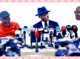 Delta govt addressing Ndokwa electricity challenge – Aniagwu