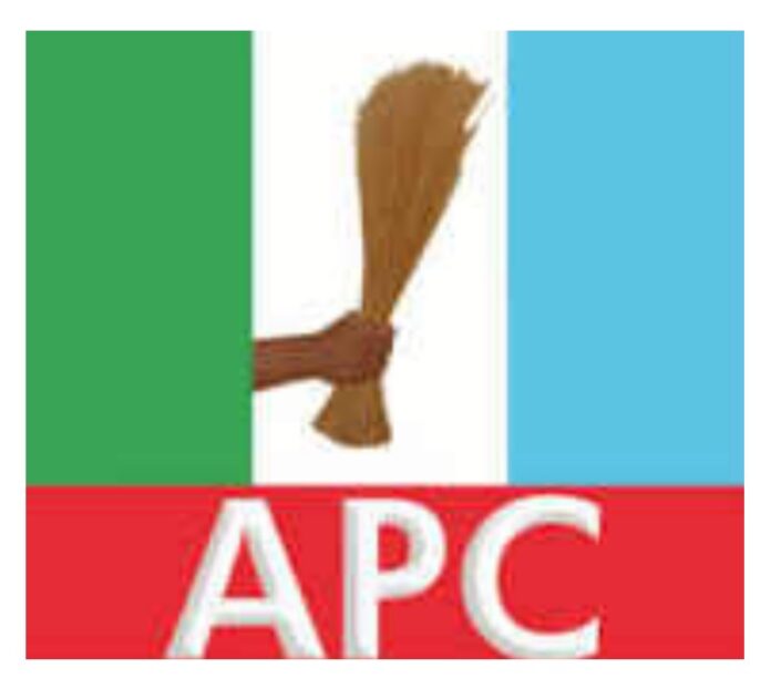 PhotoGrid_Site_1772374119952