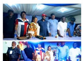 2027: Joel-Onowakpo Defeats Diden by Wide Margin to Secure Delta South APC Ticket