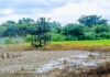 Apex lsoko Youth Body Issues 72-Hour Ultimatum to Heritage Energy Over Oil Spillage in Uzere