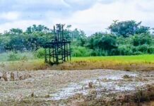 Apex lsoko Youth Body Issues 72-Hour Ultimatum to Heritage Energy Over Oil Spillage in Uzere