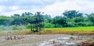 Apex lsoko Youth Body Issues 72-Hour Ultimatum to Heritage Energy Over Oil Spillage in Uzere