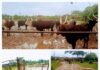 Ozoro Abattoir Operators Bemoan Bad Roads, Dilapidating Structures, Urge LGC to Intervene