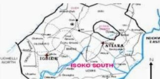 POLITICAL DISCOURSE – Isoko South Constituency 2: Choosing Between Ferguson and Tomobo (Part 2)